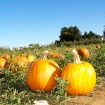 2008-10-07 (071).jpg